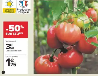 Carrefour Plants de tomates offre