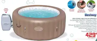Gifi Spa Gonflable Palm Springs offre