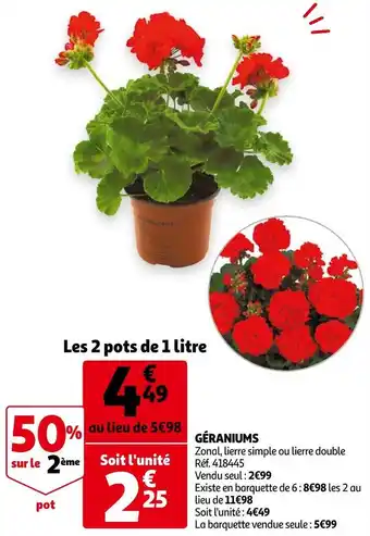 Auchan Géraniums offre