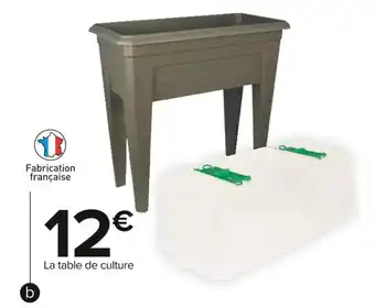 Carrefour Market Table de culture izigarden offre