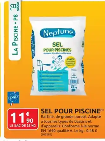 Rural Master Sel Pour Piscine offre