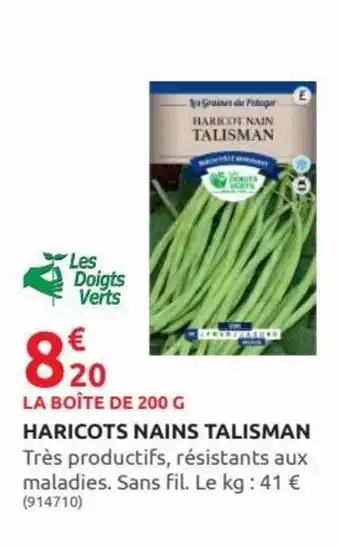 Rural Master Haricots Nains Talisman offre