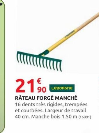 Rural Master Râteau forgé Manché offre
