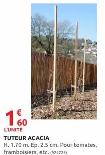 Rural Master Tuteur Acacia offre