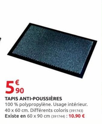 Rural Master Tapis Anti-Poussières offre