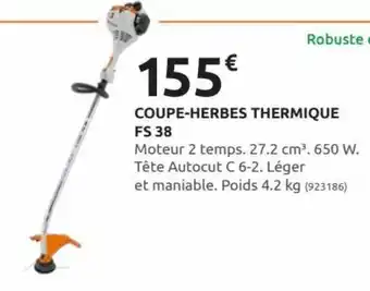 Rural Master Coupe-Herbes Thermique FS 38 offre