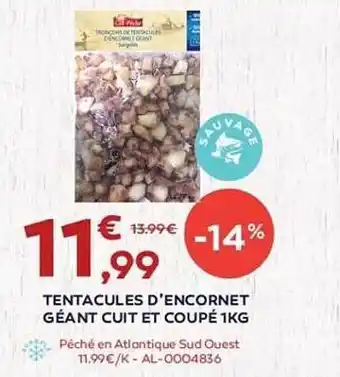 Tentacules D'encornet Géant Cuit Et Coupé 1 Kg