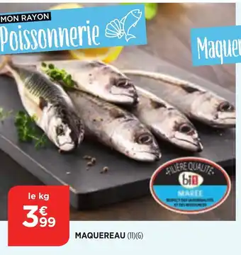 Maquereau
