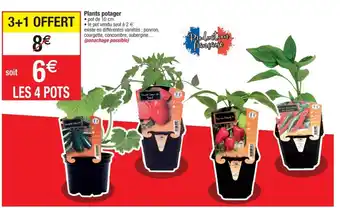 Cora x Carrefour Plants potager offre