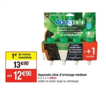 Cora x Carrefour Aquasolo cône d'arrosage medium offre