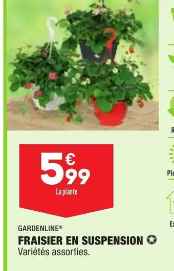 ALDI Fraisier En Suspension offre
