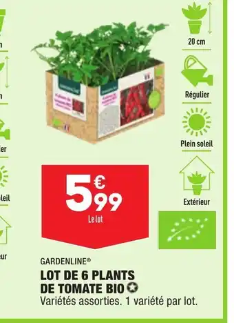 ALDI Lot de 6 Plants de Tomate Bio offre
