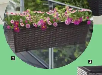 ALDI Jardinière offre