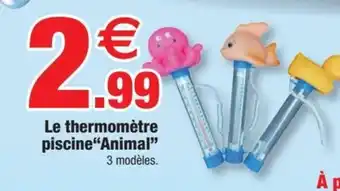 Le Thermomètre Piscine Animal