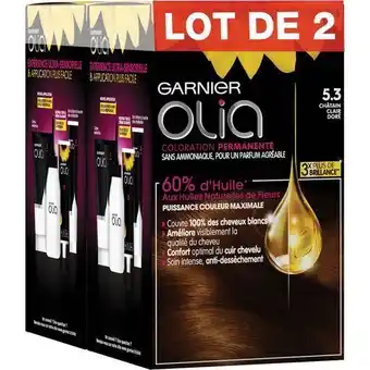 Auchan Supermarché Coloration olia garnier offre