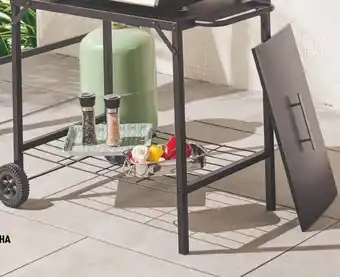 Centrakor La Desserte Pour Barbecue ou Plancha offre