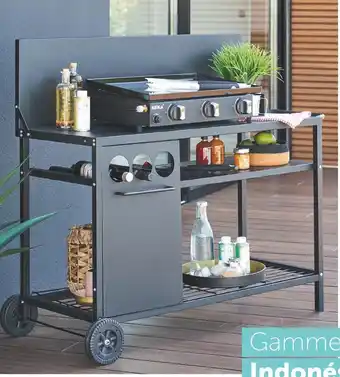 Centrakor Neka la desserte pour barbecue ou plancha offre