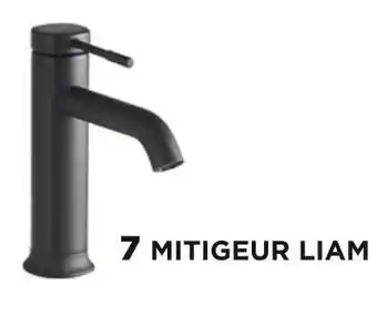Mitigeur liam