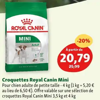 Maxi Zoo Royal canin croquettes mini offre