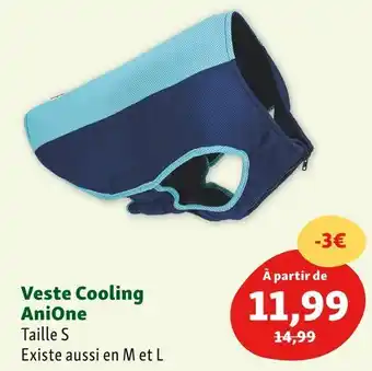 Anione veste cooling