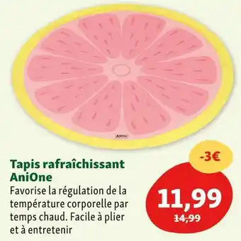 Maxi Zoo Anione tapis rafraîchissant offre