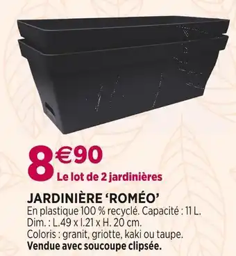 Delbard Jardinière ‘roméo’ offre