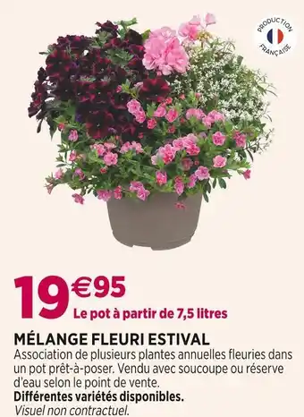 Mélange fleuri estival