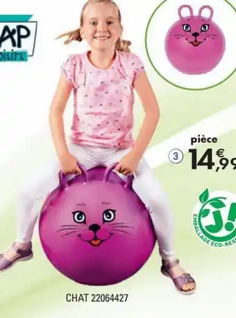 JouéClub Ballon offre