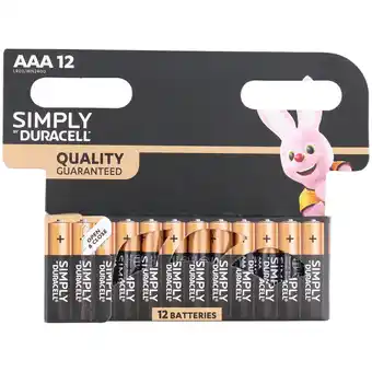 Action Piles duracell aaa offre