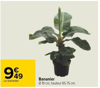 Bananier