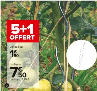 Carrefour Market Tuteur spirale pour tomates offre