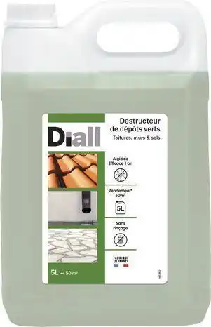 Brico Dépôt Diall anti-dépôt vert**(1) - 5 l offre