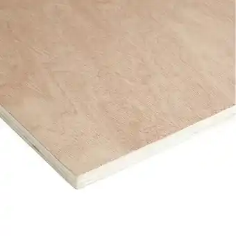 Brico Dépôt Panneau contreplaqué - l. 244 x l. 122 cm x ép. 15 mm offre