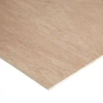 Brico Dépôt Prédécoupé contreplaqué - 81 x 40,5 cm ép. 5 mm offre