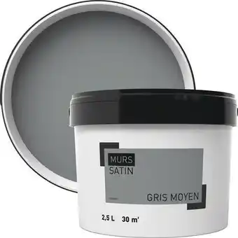 Brico Dépôt Peinture murale intérieure acrylique satin gris moyen 2.5 l offre