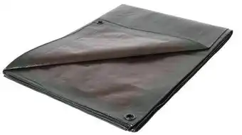 Brico Dépôt Diall bâche lourde 2 m x 3 m offre