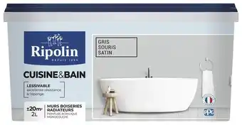 Brico Dépôt Ripolin peinture intérieur satin 2 l gris souris offre
