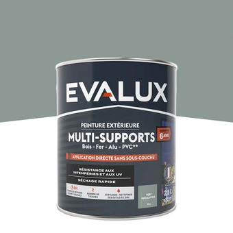 Brico Dépôt Evalux peinture extérieur mat multi supports 2,5 l eucalyptus offre