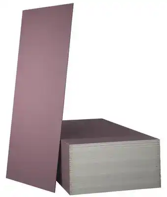 Brico Dépôt Plaque de plâtre ba 13 résistante au feu nf** - l. 2,50 x l. 1,20 m x ép. 12,5 mm offre