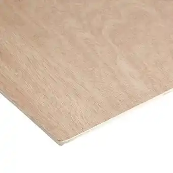 Brico Dépôt Panneau contreplaqué - l. 244 x l. 122 cm x ép. 5 mm offre