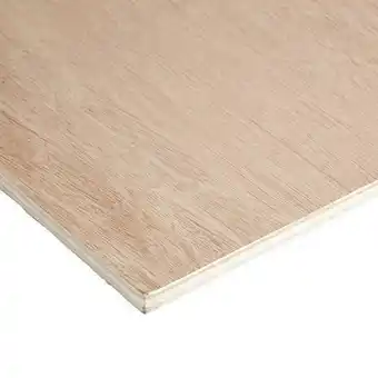 Brico Dépôt Panneau contreplaqué - 122 x 61 cm. ép. 1,2 cm. offre