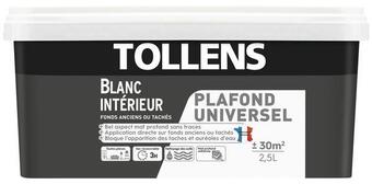 Brico Dépôt Tollens peinture intérieure monocouche plafonds tachés blanc mat 2.5 l offre
