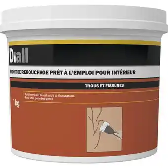 Brico Dépôt Diall enduit de rebouchage en pâte 1 kg offre