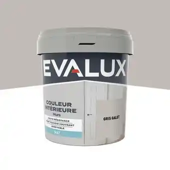 Brico Dépôt Evalux peinture mur intérieur mat 0,75 l gris galet offre