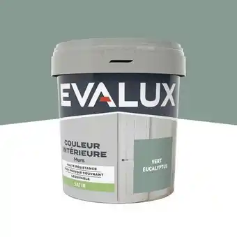 Brico Dépôt Evalux peinture mur intérieur satin 0,75 l vert eucalyptus offre