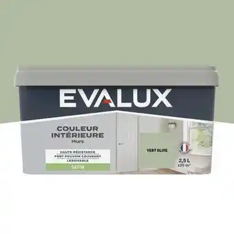 Brico Dépôt Evalux peinture mur intérieur satin 2,5 l vert olive offre