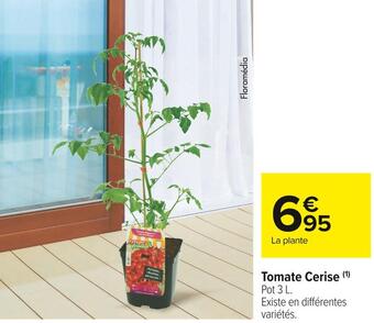Carrefour Market Tomate cerise offre