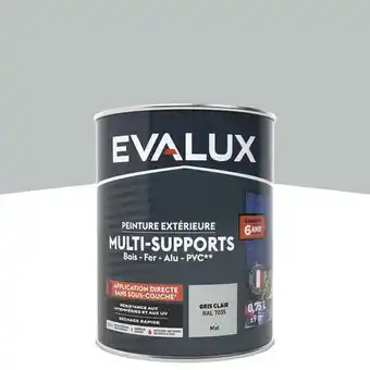 Brico Dépôt Evalux peinture extérieur mat multi supports 0,75 l gris clair offre