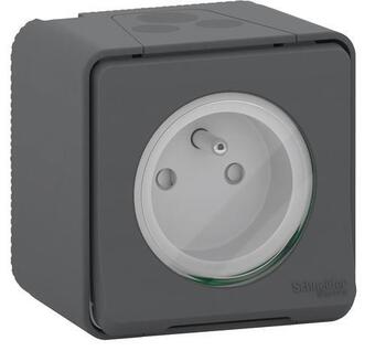 Schneider electric prise 2p+t étanche mureva styl