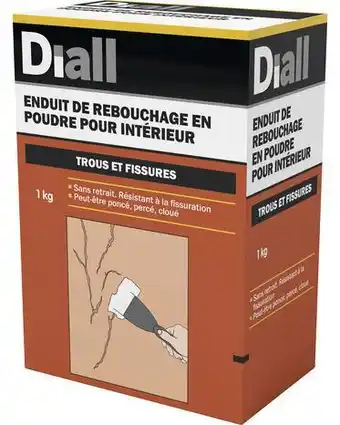 Brico Dépôt Diall enduit de rebouchage en poudre 1 kg offre